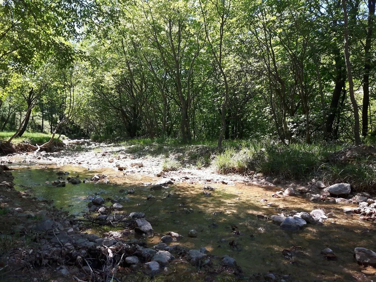 Apartmani Korina Stari Grad
